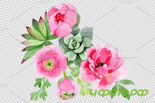 Flowers ranunculus watercolor png - 3808355