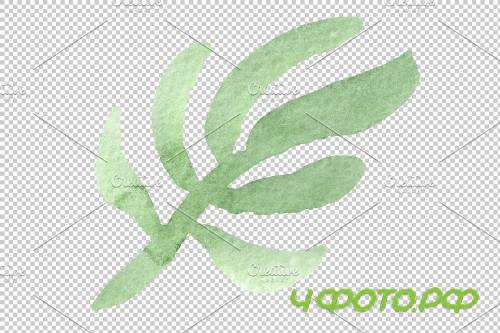 Flowers ranunculus watercolor png - 3808355