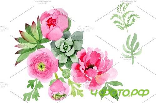 Flowers ranunculus watercolor png - 3808355