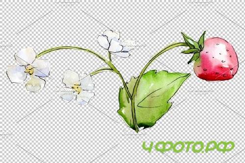 Juicy strawberry watercolor png - 3808571