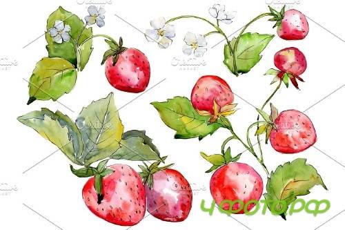 Juicy strawberry watercolor png - 3808571