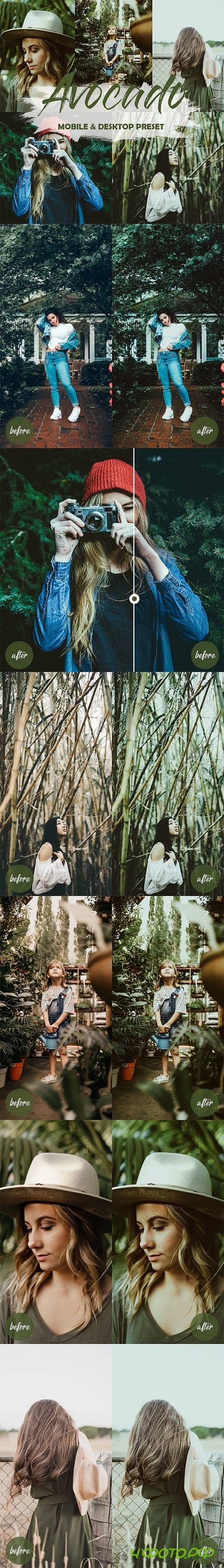 5 Mobile and Desktop Lightroom Presets Avocado - 23891284