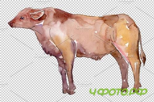 Farm animals:bull Watercolor png - 3835952