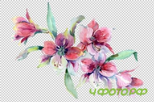 Wildflowers morning dawn watercolor - 3835871