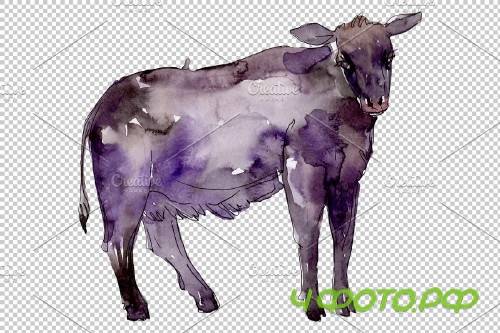 Farm animals:bull Watercolor png - 3835952