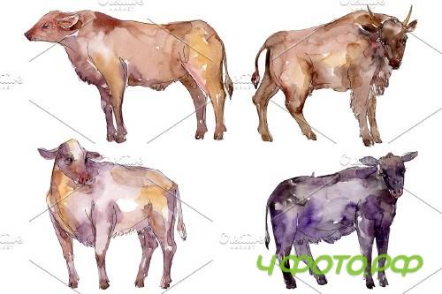 Farm animals:bull Watercolor png - 3835952