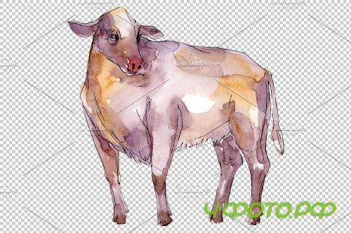 Farm animals:bull Watercolor png - 3835952
