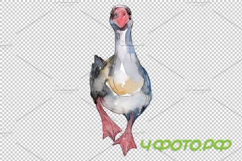 Farm animals: geese Watercolor png - 3836189