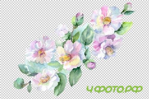 Wildflowers morning dawn watercolor - 3835871