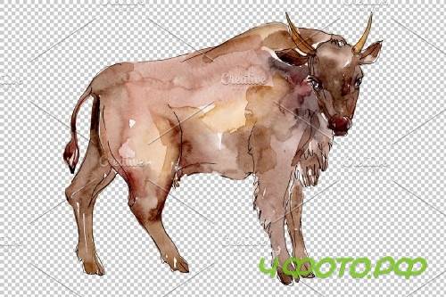 Farm animals:bull Watercolor png - 3835952