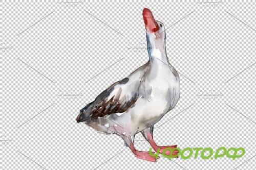 Farm animals: geese Watercolor png - 3836189