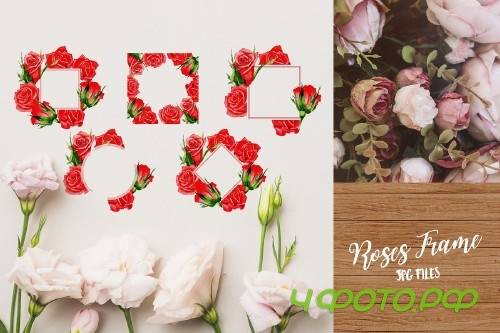 Wonderful red rose watercolor design - 3103648