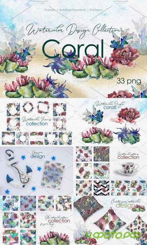 Seafood corals watercolor png - 3848613