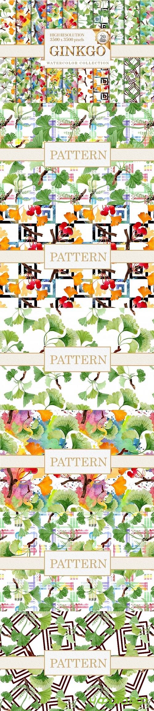 Ginkgo Watercolor png - 3840645