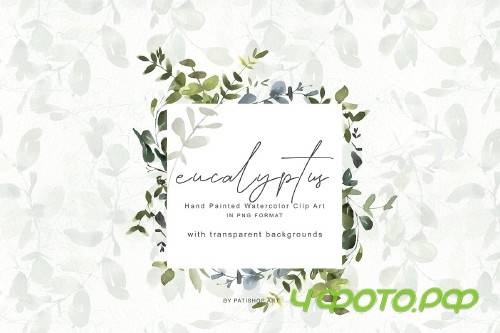 Watercolor Eucalyptus Clipart Set - 3863524