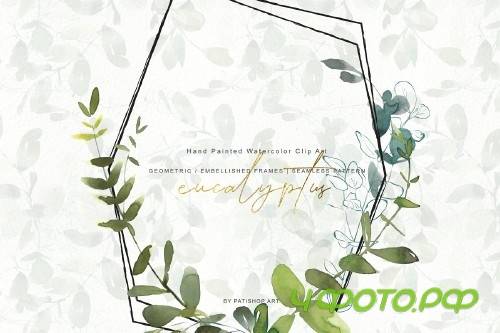 Watercolor Eucalyptus Clipart Set - 3863524