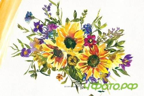 Watercolor Sunflower Clipart Set - 3863367