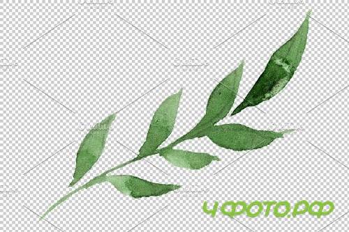 Ornament with irises Watercolor png - 3869905