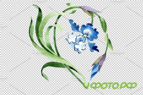 Ornament with irises Watercolor png - 3869905