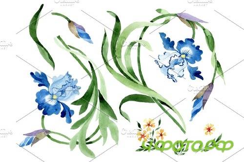 Ornament with irises Watercolor png - 3869905