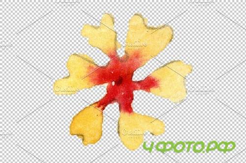 Ornament with irises Watercolor png - 3869905