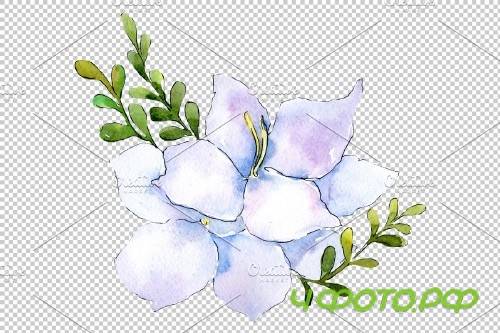 Bouquet Modest smile watercolor PNG - 3900054