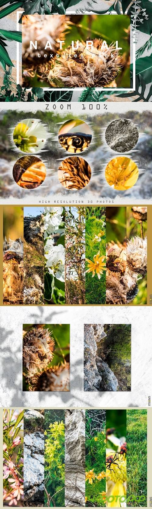 30 Nature textures snake beetle rocks stone grass flowers - 280654