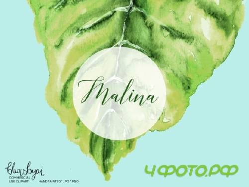 Watercolor Tropical Leaves
