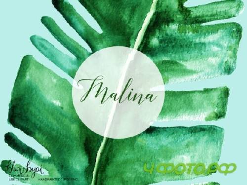 Watercolor Tropical Leaves