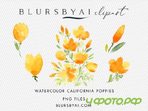 Watercolor California Poppies Clipart