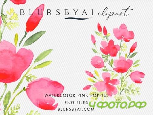 Pink Watercolor Poppies Clipart