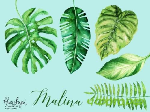 Watercolor Tropical Leaves