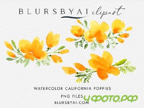 Watercolor California Poppies Clipart