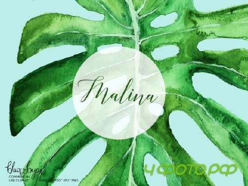 Watercolor Tropical Leaves