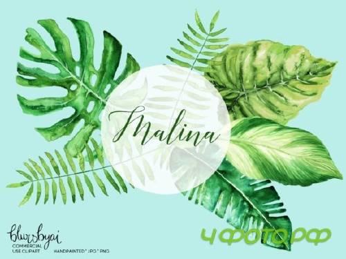 Watercolor Tropical Leaves