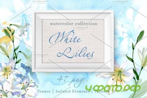 Lilies White Watercolor png - 3903767