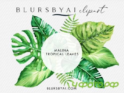 Watercolor Tropical Leaves