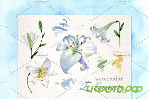 Lilies White Watercolor png - 3903767