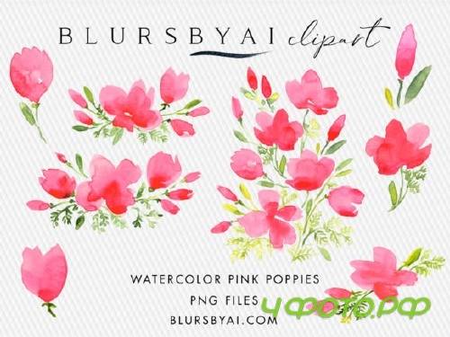 Pink Watercolor Poppies Clipart