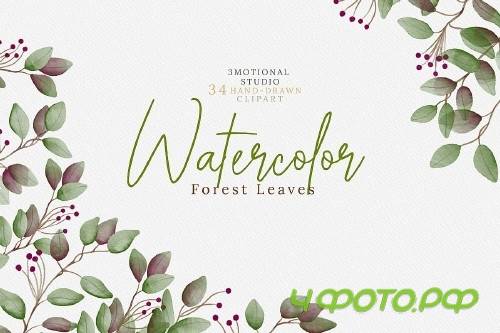 Watercolor Forest Leaves high res png - 284914