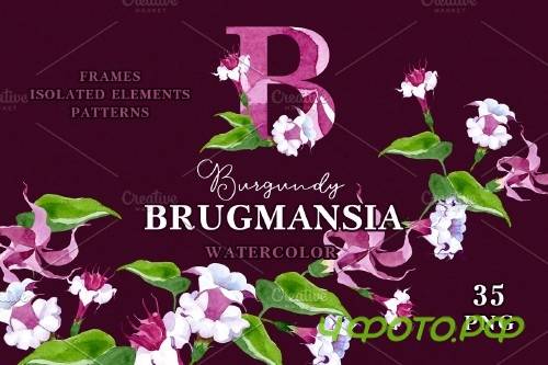 Burgundy Brugmansia Watercolor png - 3923584