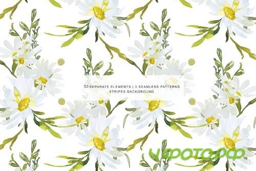 Watercolor Daisy Clip Art - 3555786
