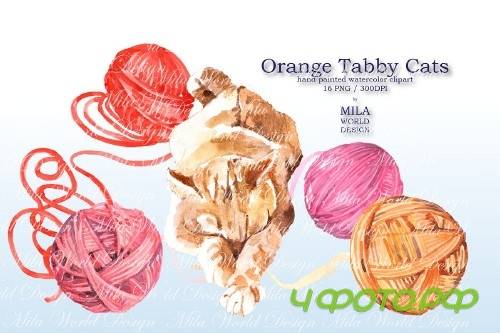 Orange tabby cat - 3839377