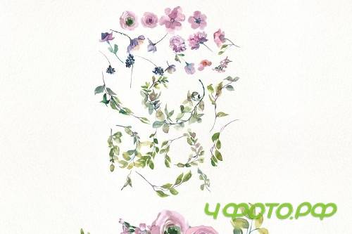 Mauve Rose Clipart - Frame Set - 3170047