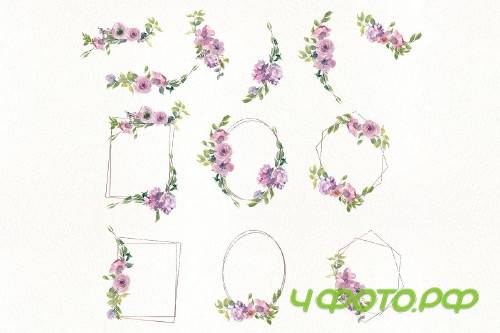 Mauve Rose Clipart - Frame Set - 3170047