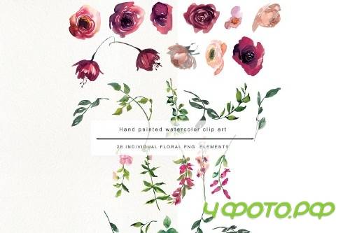 Watercolor Maroon Rose Clipart - 3036678
