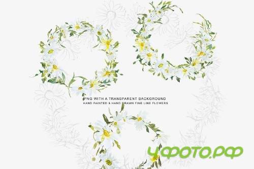 Watercolor Daisy Wreath Clip Art - 3555783