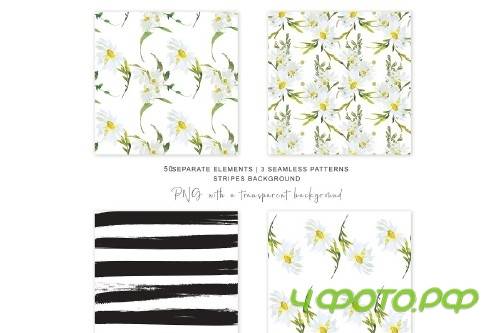 Watercolor Daisy Clip Art - 3555786