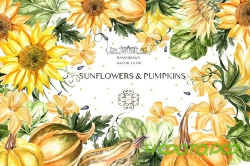 Watercolor Sunflower & Pumpkins - 3921210