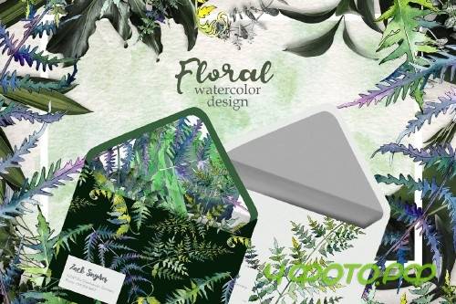 Fern Watercolor png - 3932364